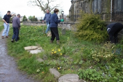 12/5/12 - Incredible Edible, Greenmount