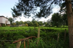 20100912-58
