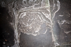 16/3/16 - Smithills Hall Visit