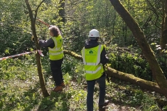 2/5/22 - Woodland Management - Old Kay's Park
