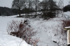 27/12/10 - Christmas Walk