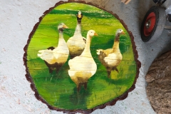 279353424_2056798397814785_8868399881797202337_n