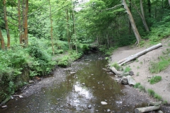 20090604-06