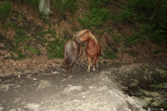 20100604-06