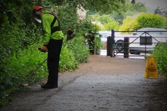 Woodland Management July 2022