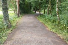 IMG_20220701_114619860-2